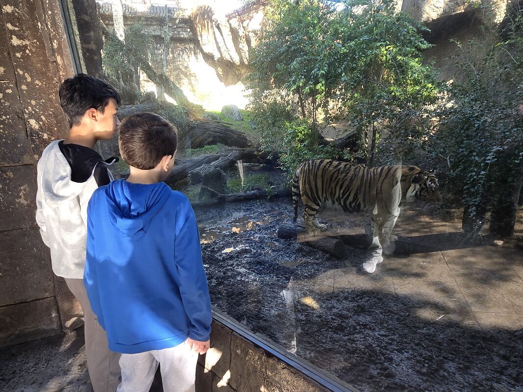 En el Bioparc de Fuengirola, con la vegetación de la selva alrededor