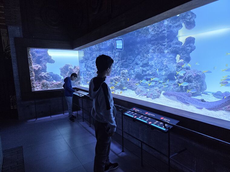 El acuario que hay dentro del Bioparc de Fuengirola