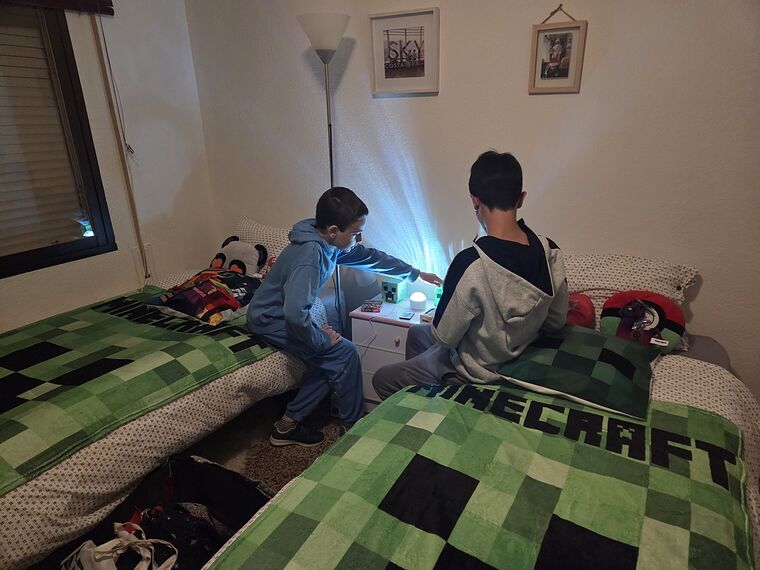 Un cuarto decorado entero con motivos de Minecraft